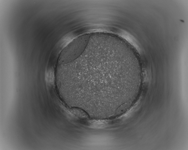 X0000111880969200908061310