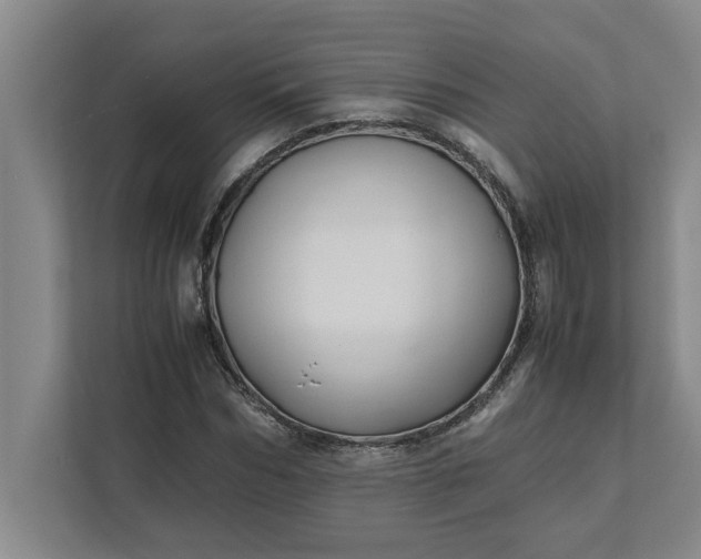 X0000111880970200908061310