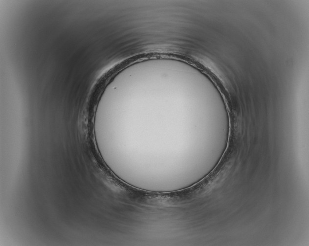 X0000111880971200908061310