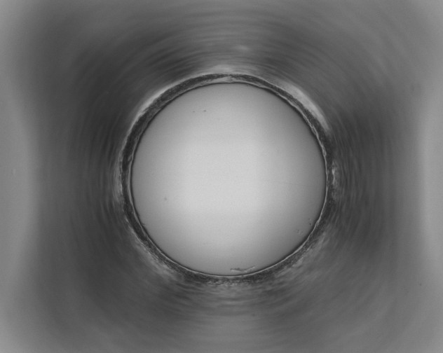 X0000111880972200908061310