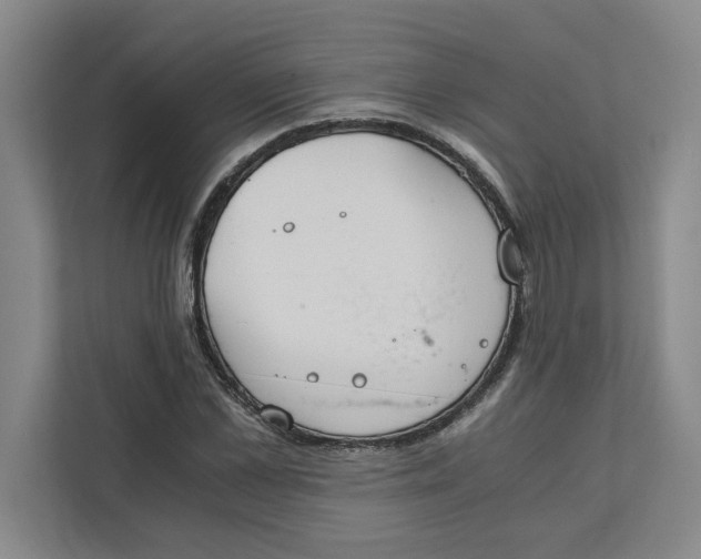 X0000111880973200908061310