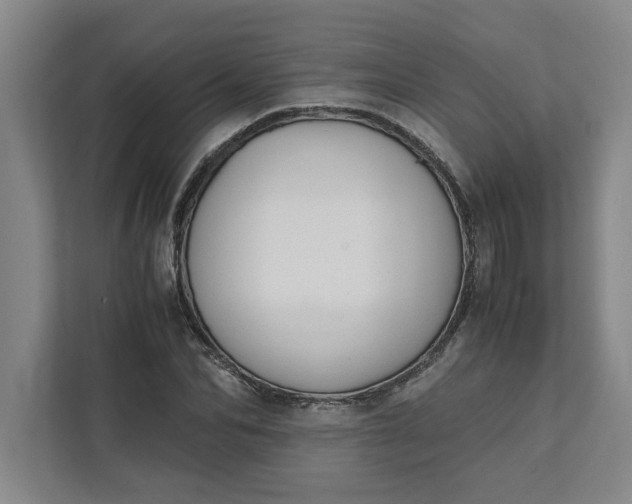 X0000111880974200908061310