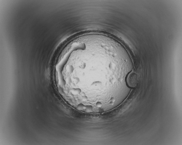 X0000111880975200908061310