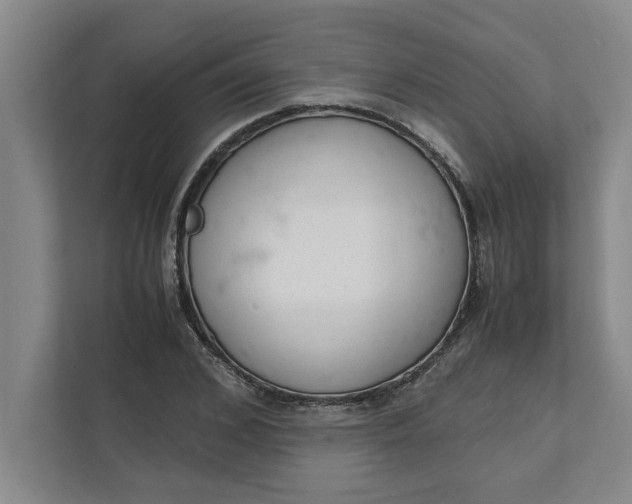 X0000111880976200908061310