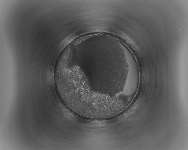 X0000111880977200908061310