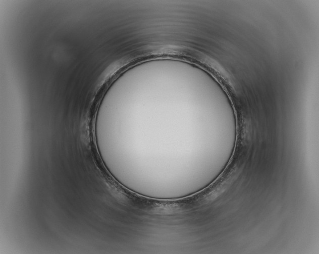 X0000111880978200908061310