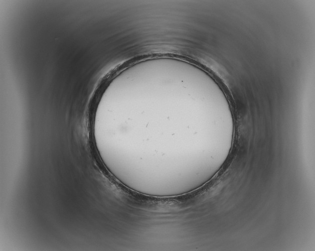 X0000111880979200908061310