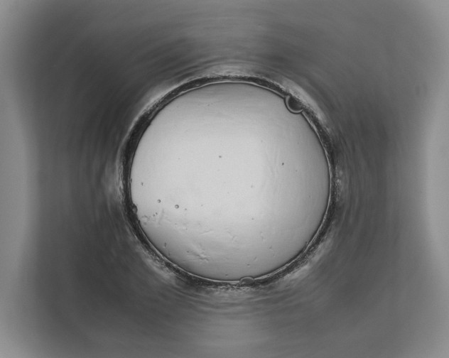 X0000111880981200908061310