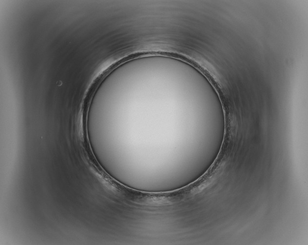 X0000111880982200908061310