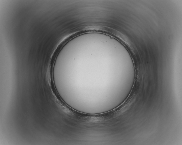 X0000111880984200908061310