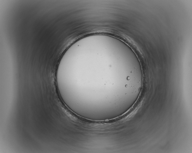 X0000111880985200908061310