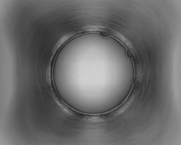 X0000111880986200908061310