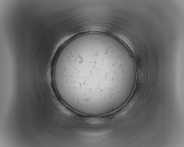 X0000111880987200908061310