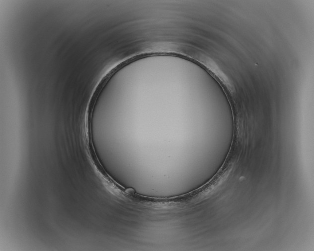 X0000111880988200908061310