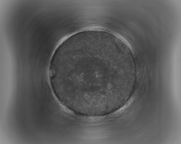 X0000111880989200908061310