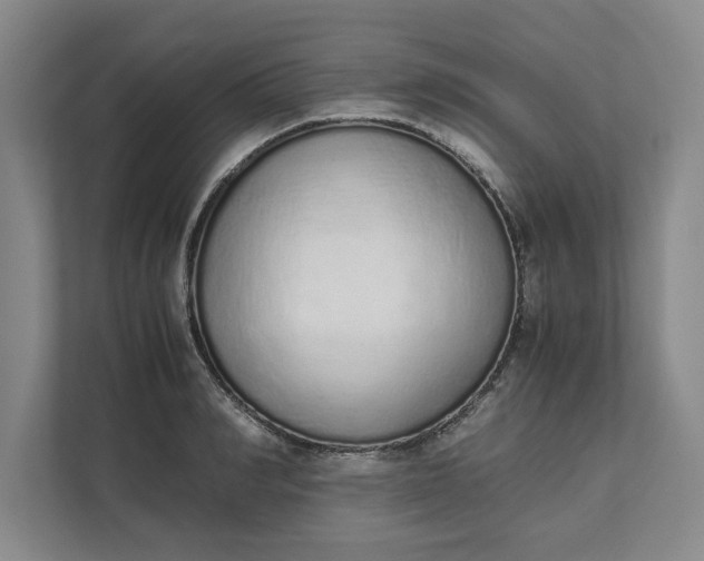 X0000111880990200908061310