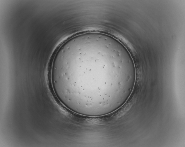 X0000111880991200908061310