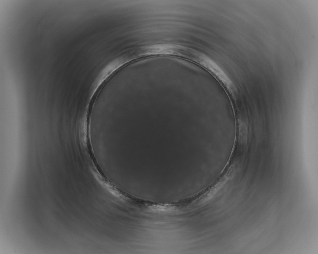 X0000111880994200908061310