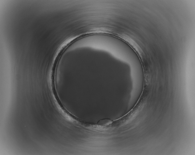 X0000111880995200908061310