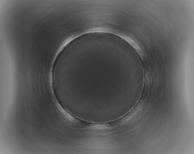 X0000111880998200908061310