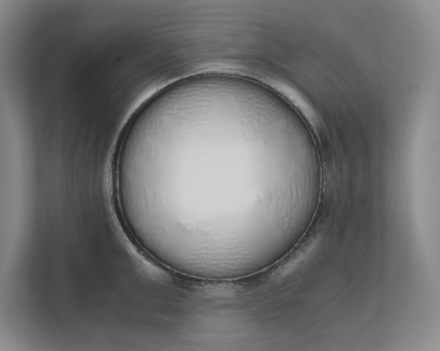 X0000111880999200908061310