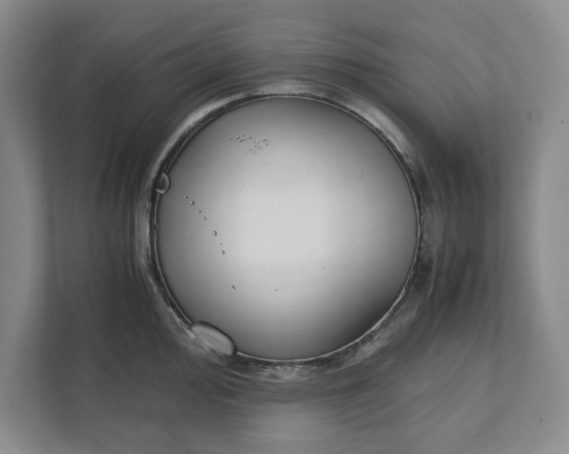 X0000111881000200908061310