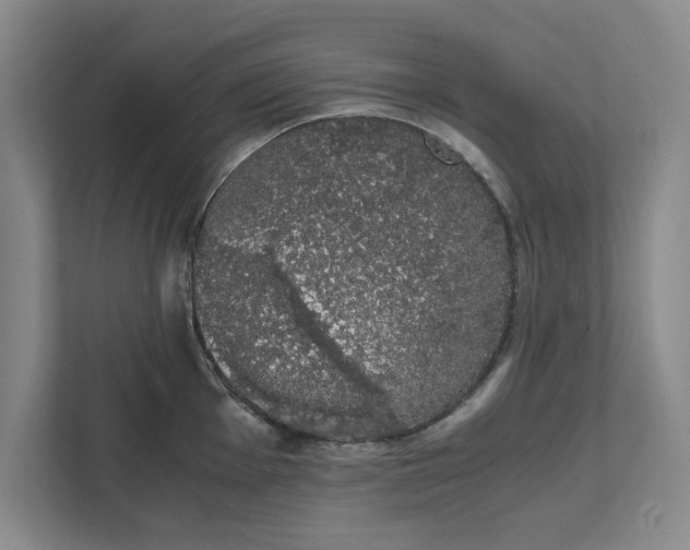 X0000111881001200908061310