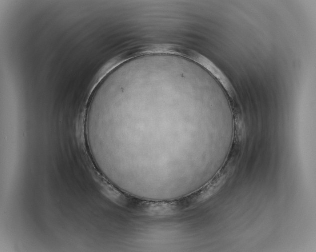 X0000111881002200908061310