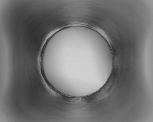 X0000111881003200908061310