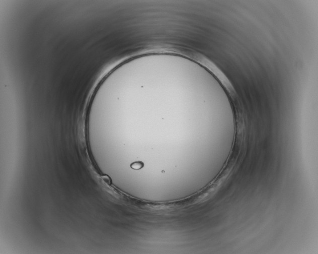 X0000111881004200908061310