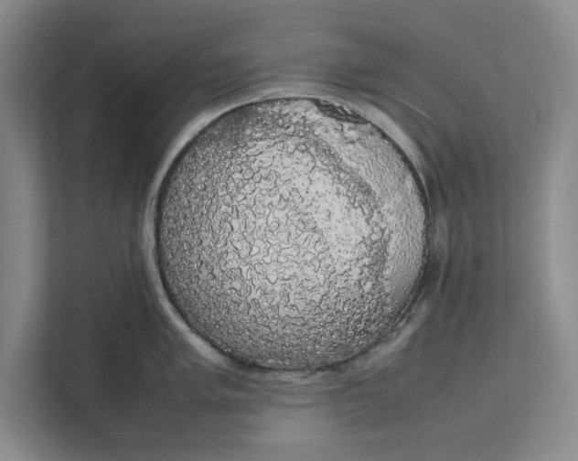 X0000111881005200908061310