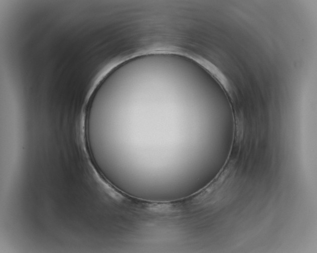 X0000111881006200908061310