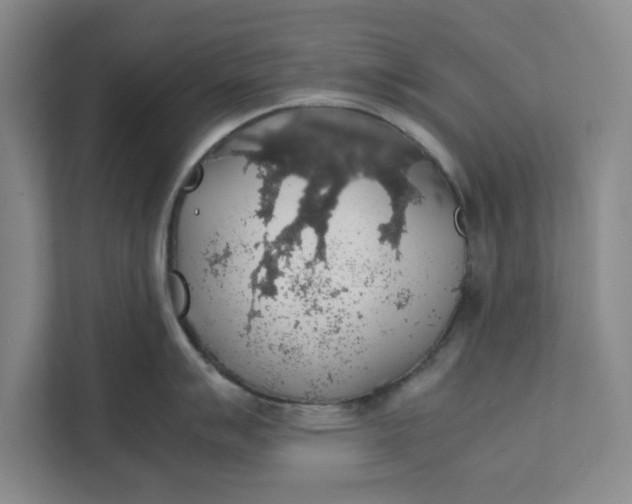 X0000111881007200908061310