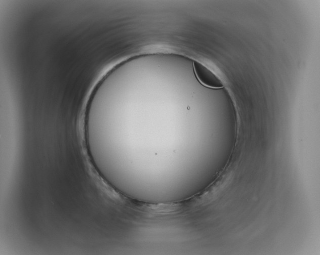 X0000111881008200908061310