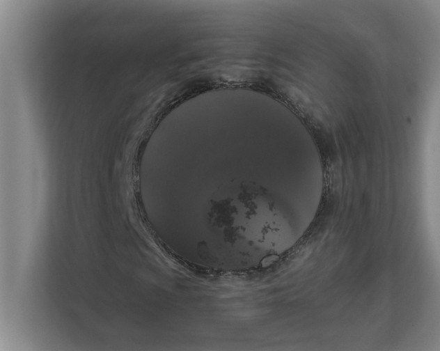 X0000111881009200908061309