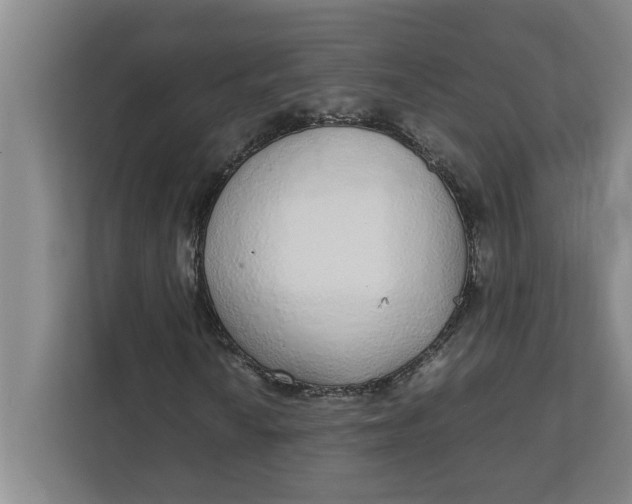 X0000111881010200908061309