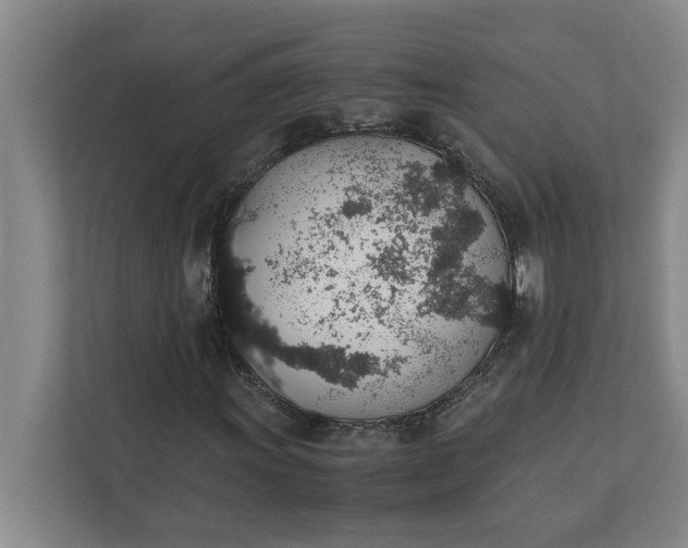 X0000111881011200908061309