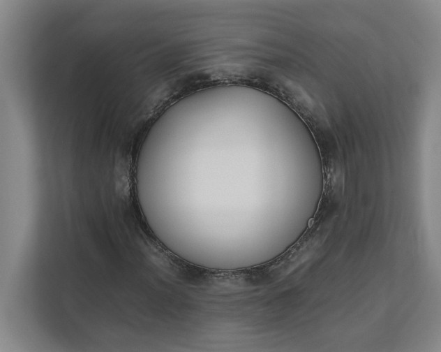 X0000111881012200908061309