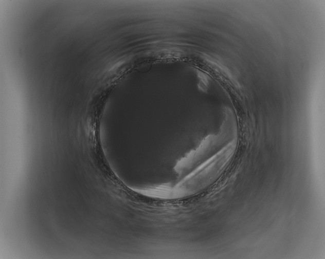 X0000111881013200908061309