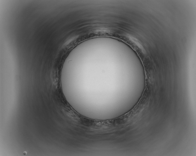 X0000111881015200908061309