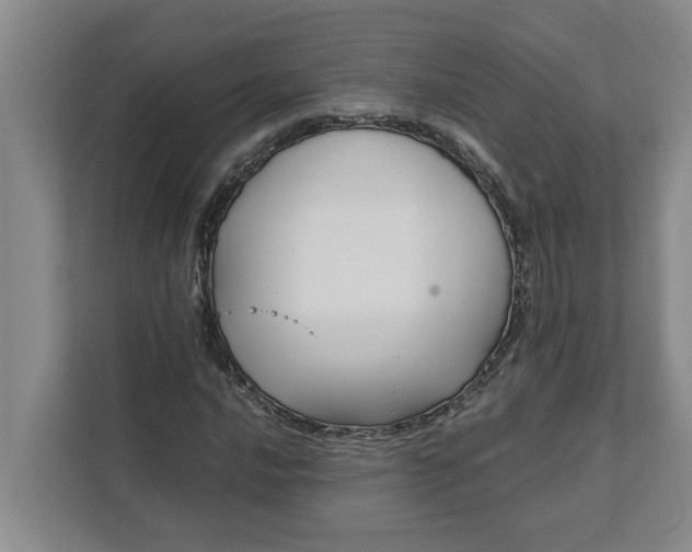 X0000111881016200908061309