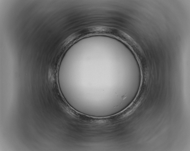 X0000111881017200908061309