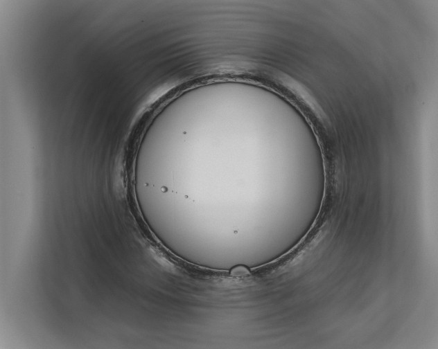 X0000111881018200908061309