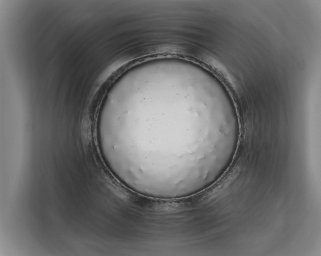 X0000111881019200908061309