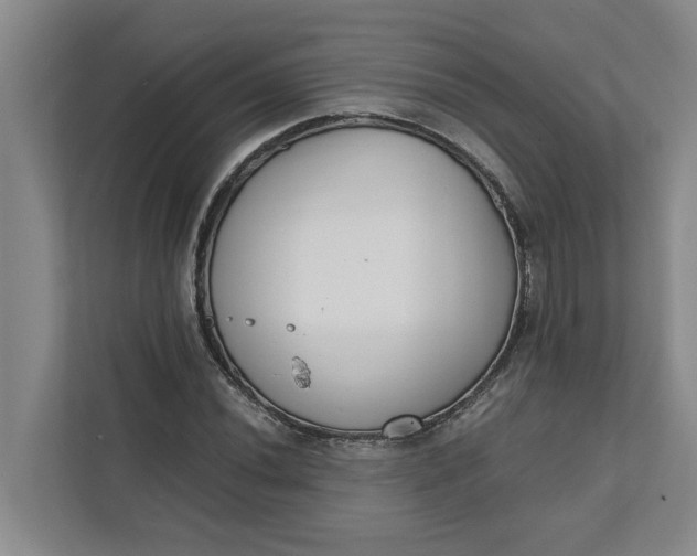 X0000111881020200908061309