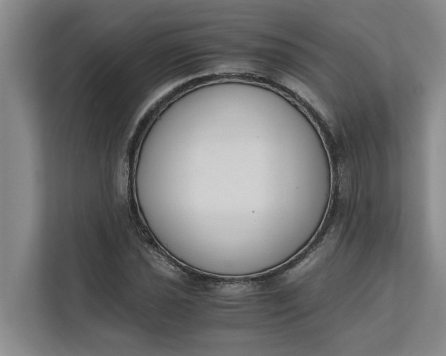 X0000111881021200908061309