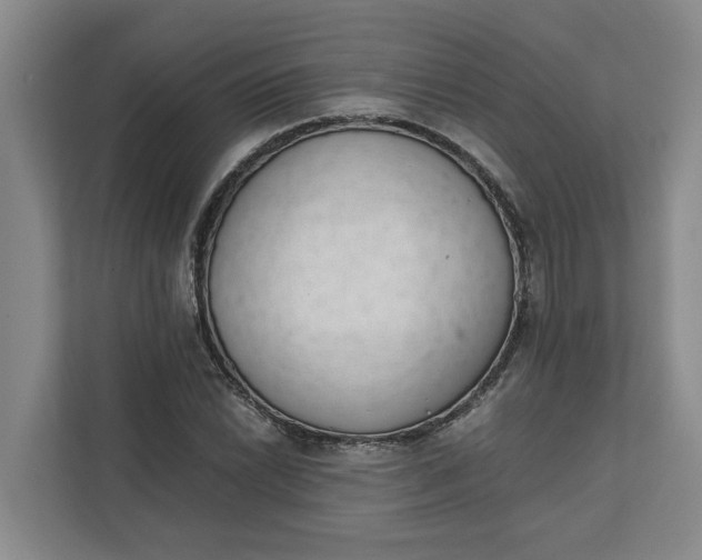 X0000111881022200908061310