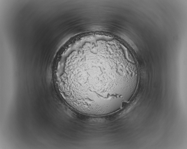 X0000111881023200908061310