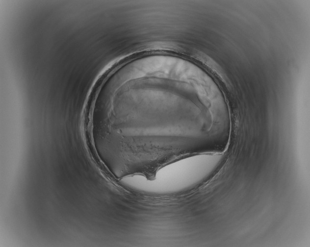 X0000111881024200908061310