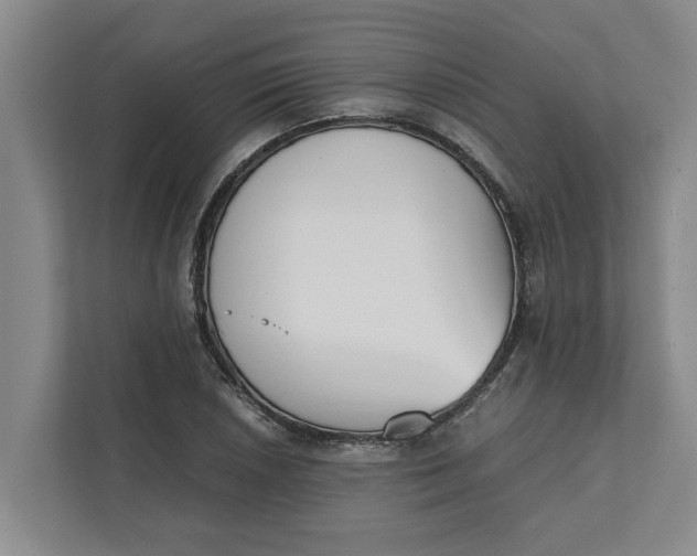 X0000111881026200908061310